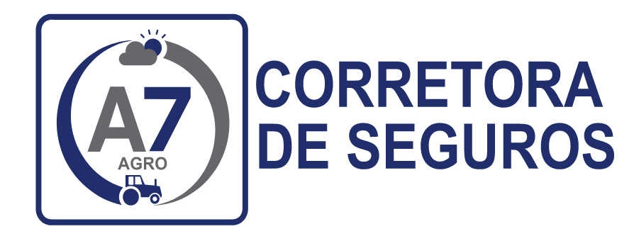 Acetiseg